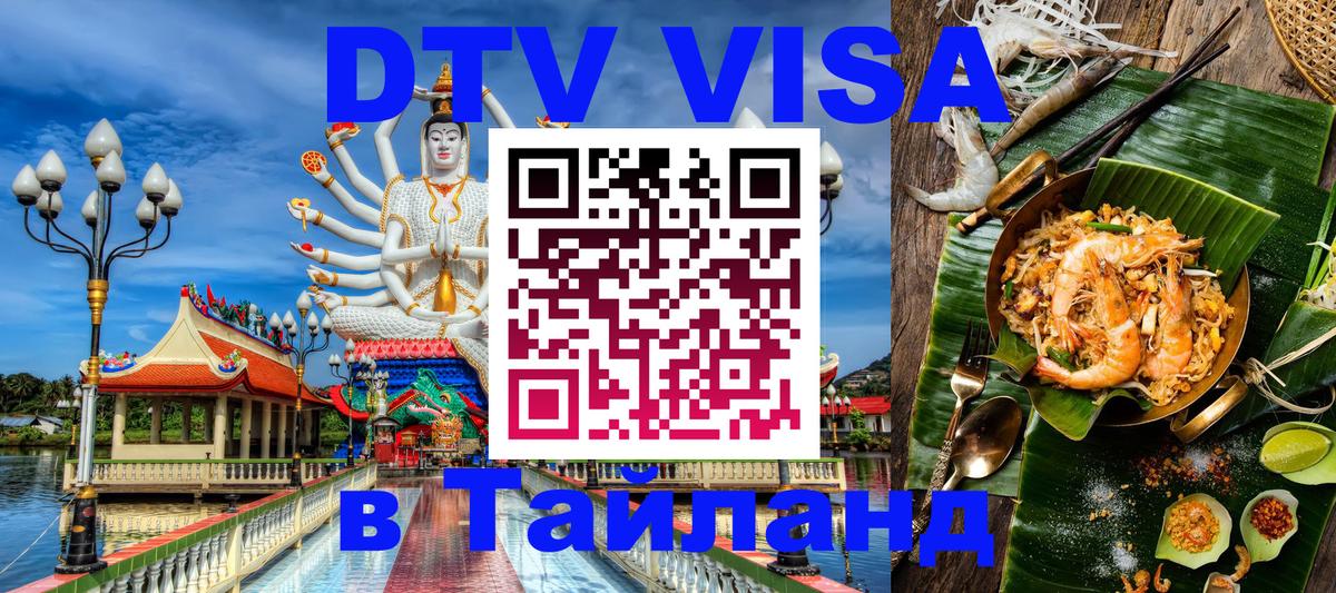 Оформление DTV визы под ключ: стоимость и тарифы, только загранпаспорт - Димитровград  20.11.2025 